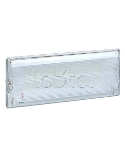 Светильник аварийного освещения SAFEWAY-40 LED EKF Proxima (dpa-202) в Калининграде Светильники Pintop.ru