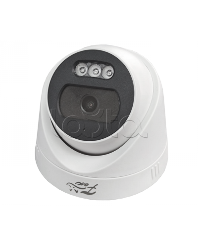 IP-видеокамера в купольном исполнении Fox FX-IPC-D2FP-IR H.265 AI в Калининграде IP-камеры Pintop.ru