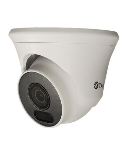 Видеокамера в купольном исполнении уличная Tantos TSc-Ee5FN в Калининграде Системы видеонаблюдения Pintop.ru