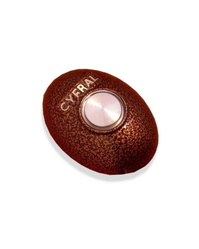 Кнопка открывания двери Цифрал КОДсП-4 в Калининграде Многоабонентные устройства Pintop.ru