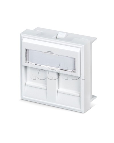 Вставка 45x45 (аналог Mosaic) для 2 модулей формата Keystone Jack Cabeus FP-45-2M в Калининграде Модули Keystone Pintop.ru