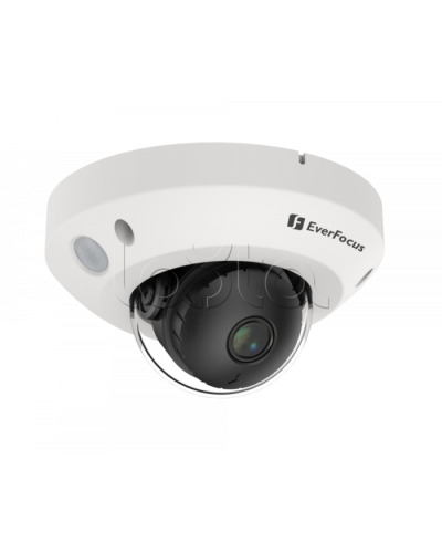 IP-камера видеонаблюдения купольная EverFocus EMN2560-SG в Калининграде IP-камеры Pintop.ru
