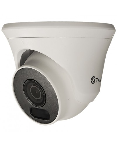 Видеокамера в купольном исполнении уличная Tantos TSc-Ee2FN в Калининграде Системы видеонаблюдения Pintop.ru