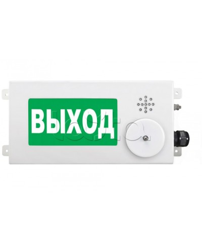 Табло световое взрывозащищенное Спектрон ТСВ-Exi-М-Прометей-МИНИ 12-36В в Калининграде Оповещатели Ex Pintop.ru