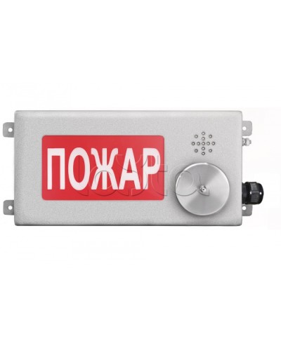 Табло светозвуковое взрывозащищенное Спектрон ТСЗВ-Exm-Н-Прометей-МИНИ 12-36В в Калининграде Оповещатели Ex Pintop.ru