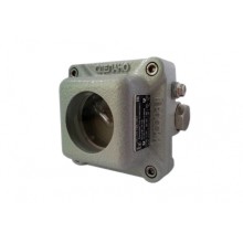 Извещатель пожарный пламени взрывозащищенный Квазар ИП 329-5В "АМЕТИСТ" с двумя кабельными вводами