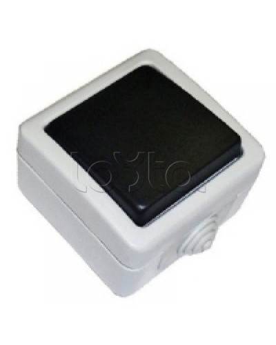 Экопласт EF600SD Выключатель одноклавишый с самовозвратом (кнопка),10A (сер.) в Калининграде Розетки компьютерные и телефонные Pintop.ru