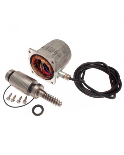 Электродвигатель FROG-A в сборе Came 119RIA061 в Калининграде Запчасти для шлагбаумов и автоматики Pintop.ru