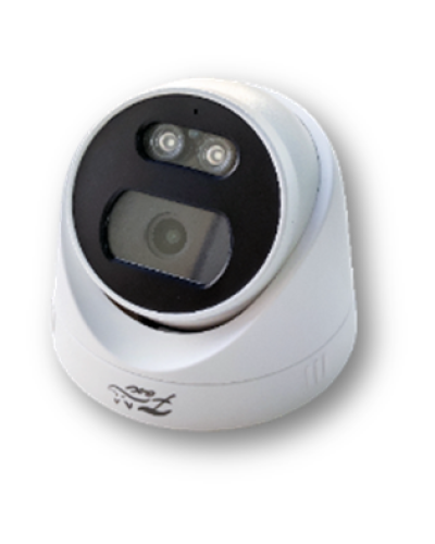 IP-камера в купольном исполненииFox FX-IPC-D450FP-OC H.265 AI в Калининграде IP-камеры Pintop.ru