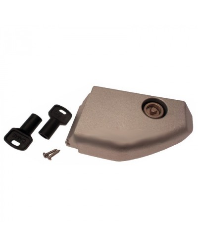 Дверца разблокировки с замком BX Came 119RIBX008 в Калининграде Запчасти для шлагбаумов и автоматики Pintop.ru