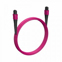 Кабельная сборка MPO(F) -MPO(F)-8 волокон 50/125 OM4, 5 m Cabeus (FOP-50-OM4-8-MPO(F)-8-MPO(F)-B-5m)