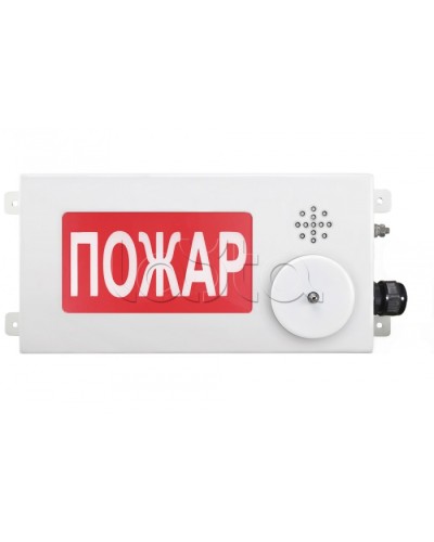 Табло светозвуковое взрывозащищенное Спектрон ТСЗВ-Exm-М-Прометей-МИНИ 220В в Калининграде Оповещатели Ex Pintop.ru