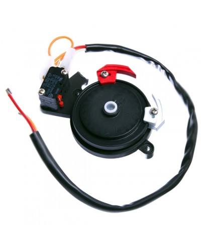 Концевые микровыключатели в сборе BX-243 Came 119RIBX041 в Калининграде Запчасти для шлагбаумов и автоматики Pintop.ru