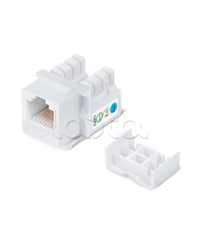 Вставка Cabeus KJ-RJ12-90 в Калининграде Модули Keystone Pintop.ru