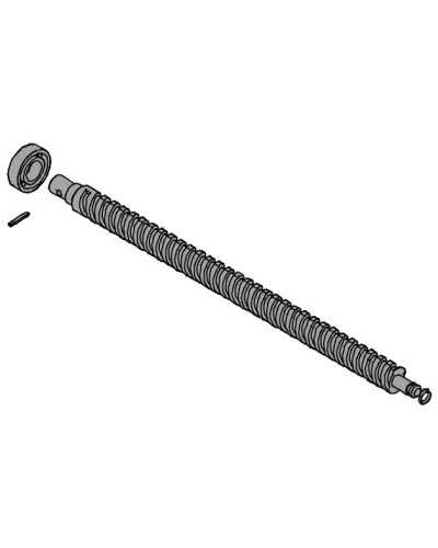 Винт ходовой AX302304, AX3024, АХ402306, AX412306 Came 119RID319 в Калининграде Запчасти для шлагбаумов и автоматики Pintop.ru