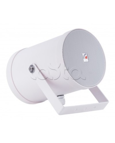 Двунаправленный Прожектор звуковой ROXTON SW-10T2 в Калининграде Система оповещения и трансляции Roxton Pintop.ru