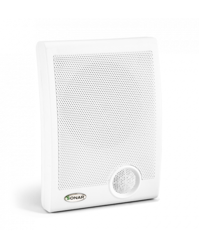 Громкоговоритель настенный Sonar SWP-110-105 в Калининграде Система оповещения и трансляции Sonar Pintop.ru