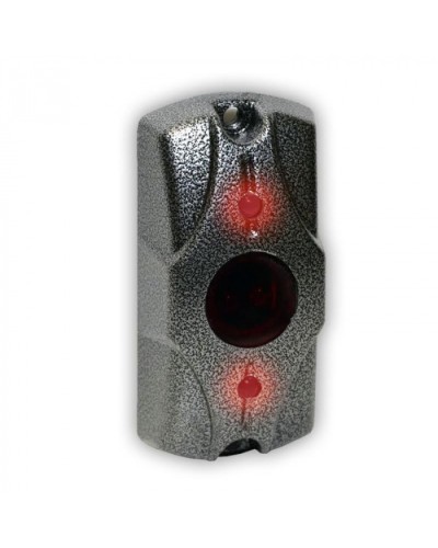 Олевс ЦИКЛОП ИК серебряный антик в Калининграде Электромагнитные замки Pintop.ru