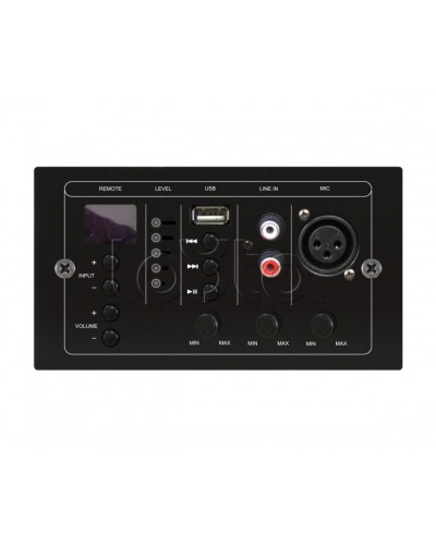 Панель управления выносная DSPPA MAG-808C в Калининграде 19 оборудование (рэковое/стоечное) Dsppa Pintop.ru