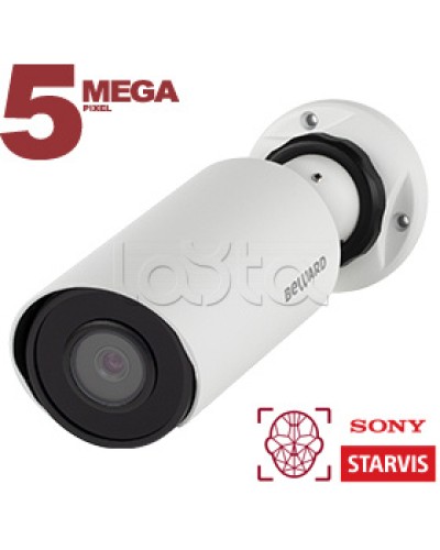 IP-камера видеонаблюдения в стандартном исполнении Beward SV3218R2 2.8 в Калининграде IP-камеры Pintop.ru