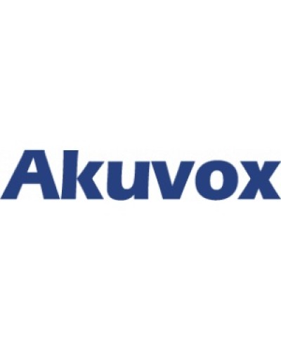 IP монитор (интерком-панель) Akuvox C313W_V2 в Калининграде Абонентские IP устройства Pintop.ru