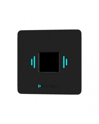 Считыватель вен ладоней BioSmart PALMJET BOX (крепление на плоскость) в Калининграде Считыватели Pintop.ru