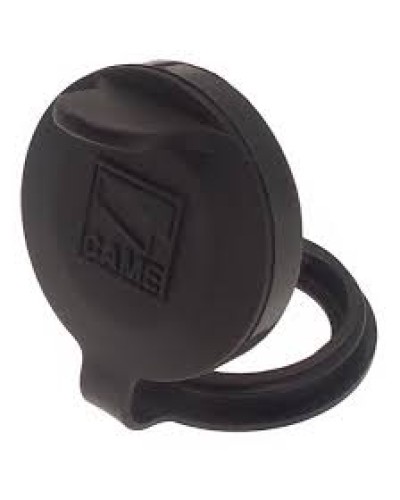 Защита целиндра замка A4366 Came 119RIA051 в Калининграде Запчасти для шлагбаумов и автоматики Pintop.ru