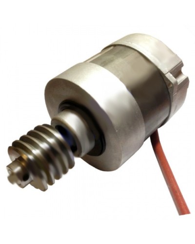 Электродвигатель BX-246 в сборе Came 119RIBX053 в Калининграде Запчасти для шлагбаумов и автоматики Pintop.ru