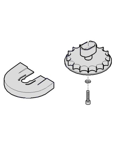 Шестеренка для C001 Came 119RICX004 в Калининграде Запчасти для шлагбаумов и автоматики Pintop.ru