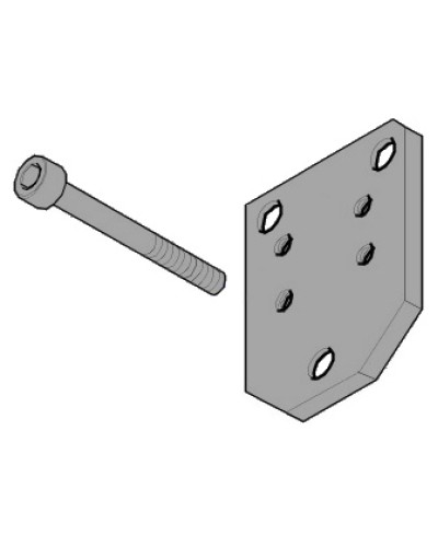 Пластина монтажная FLEX Came 119RID143 в Калининграде Запчасти для шлагбаумов и автоматики Pintop.ru