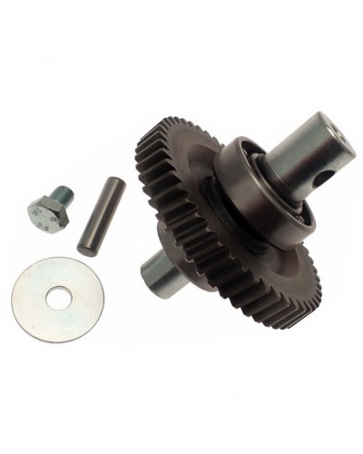 Шестерня редуктора FAST в сборе Came 119RID229 в Калининграде Запчасти для шлагбаумов и автоматики Pintop.ru