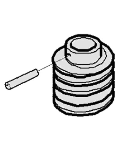 Червяк G2500 Came 119RIG094 в Калининграде Запчасти для шлагбаумов и автоматики Pintop.ru