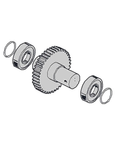 Моторедуктор G2081 G2081I Came 119RIG197 в Калининграде Запчасти для шлагбаумов и автоматики Pintop.ru