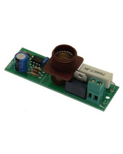 Плата лампы KIARO 24 Came 119RIR030 в Калининграде Запчасти для шлагбаумов и автоматики Pintop.ru