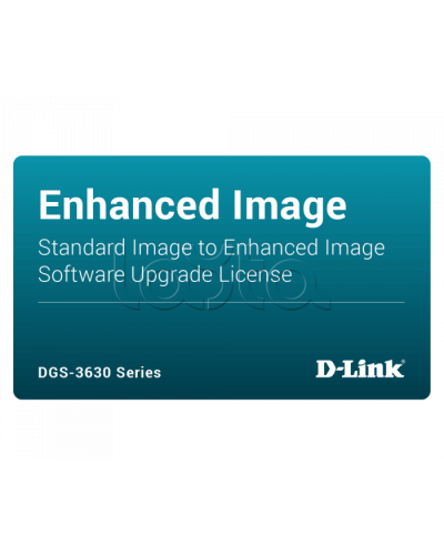 ПО D-Link DGS-3630-28PC-SE-LIC в Калининграде Беспроводное оборудование Pintop.ru
