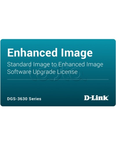ПО D-Link DGS-3630-28TC-SE-LIC в Калининграде Беспроводное оборудование Pintop.ru