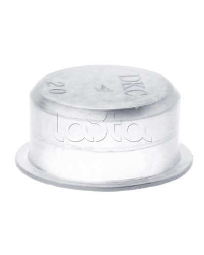 Заглушка для труб, IP40, д.40мм DKC 50940 в Калининграде Аксессуары для стоек и шкафов Pintop.ru