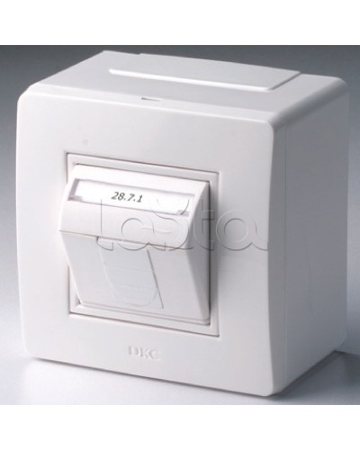 Коробка в сборе с 1 розеткой RJ45, кат.5е (телефон / компьютер), белая DKC 10665 в Калининграде Распределительные коробки Pintop.ru