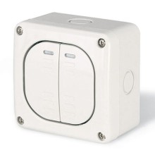 Выключатель однополюсный, двухклавишный, настенный DKC DIS1375022