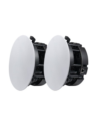 Двухполосный потолочный динамик DSPPA DW-2235 в Калининграде Система оповещения и трансляции Dsppa Pintop.ru