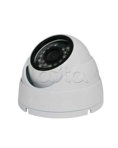 Камера видеонаблюдения купольная EverFocus ACE-IAB20XHD в Калининграде Аналоговые камеры Pintop.ru