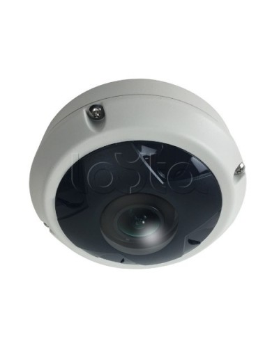 IP-камера видеонаблюдения купольная EverFocus ACE-KU89F в Калининграде IP-камеры Pintop.ru