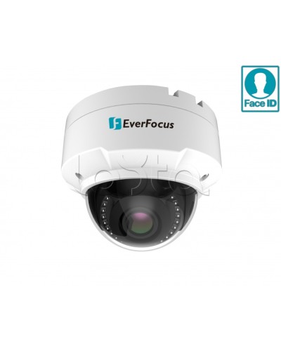 IP-камера видеонаблюдения купольная EverFocus EHN-2550 в Калининграде IP-камеры Pintop.ru