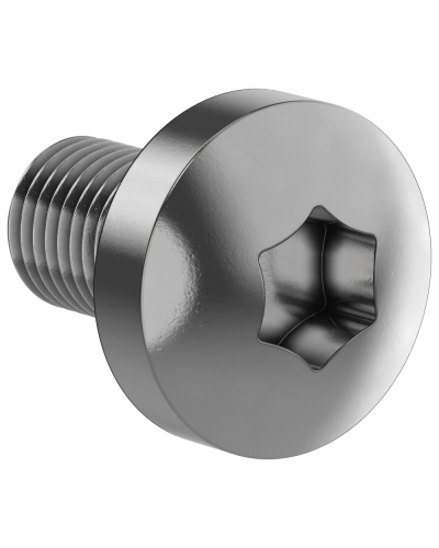 Винт М6х10 IEK (FO-00D-VTORX-M6X10-500) в Калининграде Аксессуары для стоек и шкафов Pintop.ru