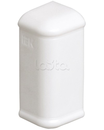 Заглушка 100x40 для кабель-канала ПРАЙМЕР IEK CKK-40D-Z-100-040-K01 в Калининграде Аксессуары для кабель-канала Pintop.ru