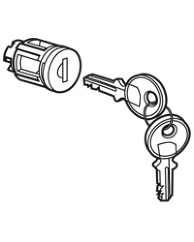 Цилиндр встроенный под ключ №405 Legrand 020291 в Калининграде Дополнительное оборудование для сетей Pintop.ru