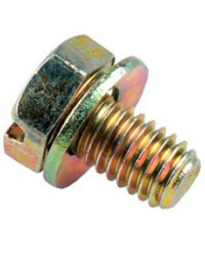 Винт с шайбой М6х10мм TH Legrand 036775 в Калининграде Крепеж Pintop.ru