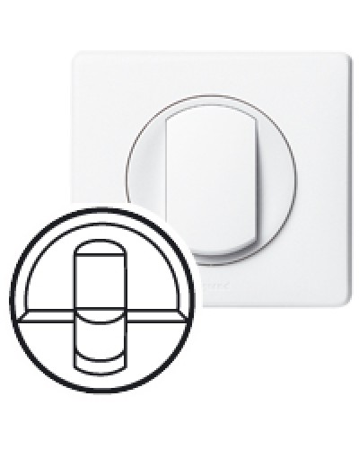 Клавиша для выключателя Celiane Legrand 068251 в Калининграде Аксессуары для кабель-канала Pintop.ru