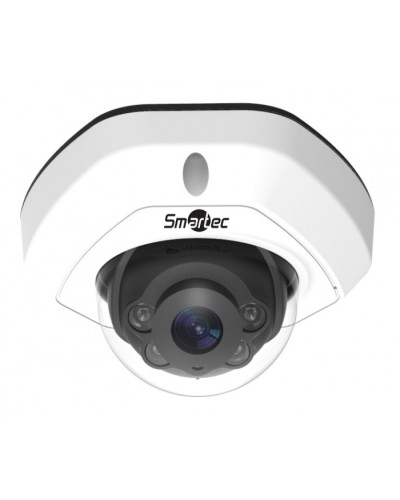 IP-камера видеонаблюдения уличная купольная Smartec STC-IPM3540/1 в Калининграде IP-камеры Pintop.ru