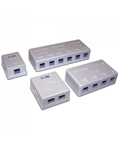 Настенная коробка 2 порта для Keystone TWT (TWT-SA2-WH) в Калининграде Модули Keystone Pintop.ru